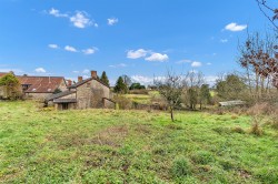 Images for Smeatharpe, Honiton