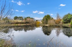 Images for Smeatharpe, Honiton