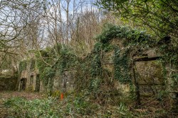 Images for Gunnislake, Tamar Valley