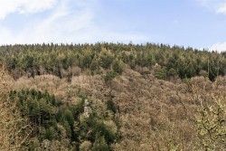 Images for Gunnislake, Tamar Valley