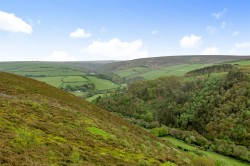 Images for Oare, Lynton