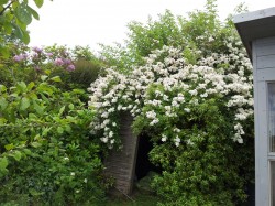 Images for Hillingdon, Bridport