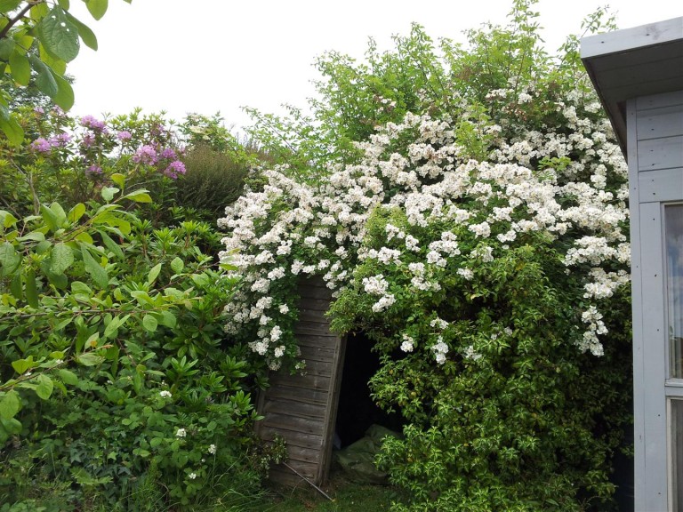 Images for Hillingdon, Bridport