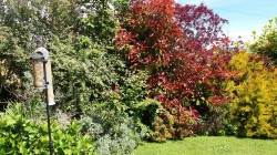 Images for Hillingdon, Bridport