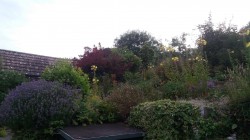 Images for Hillingdon, Bridport