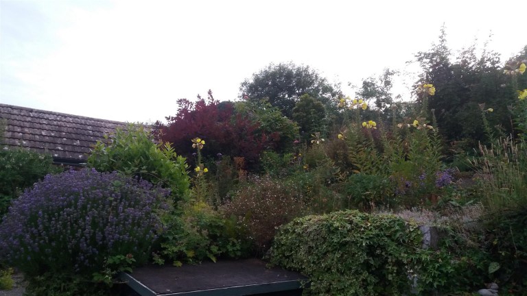 Images for Hillingdon, Bridport