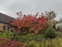 Images for Hillingdon, Bridport