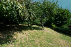 Images for Middle Hutcherleigh, Blackawton, Totnes