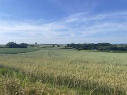 Images for Wembworthy, Chulmleigh