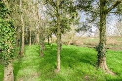 Images for Wellsborough Road, Sheepy Parva, CV9