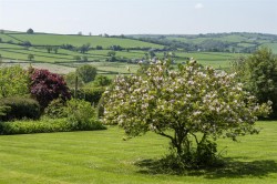 Images for Coryton, Lyd Valley, Devon
