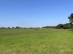 Images for Nomansland, Tiverton