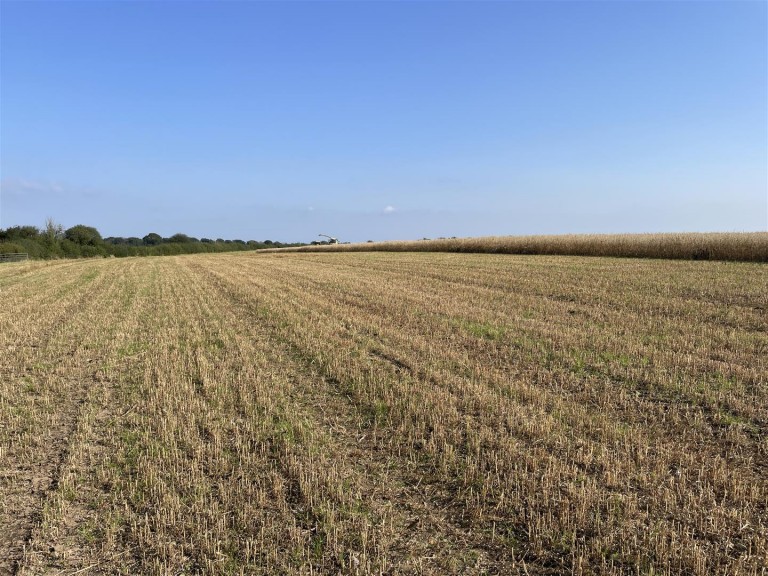 Images for Nomansland, Tiverton