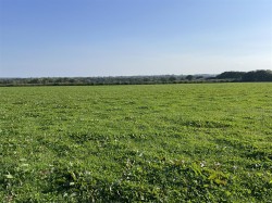 Images for Nomansland, Tiverton