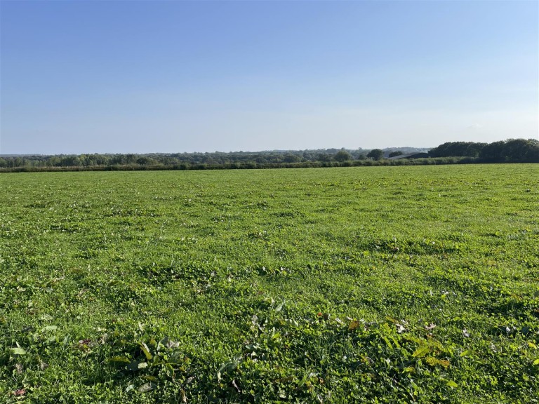 Images for Nomansland, Tiverton