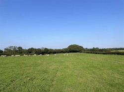 Images for Nomansland, Tiverton