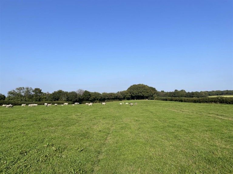 Images for Nomansland, Tiverton