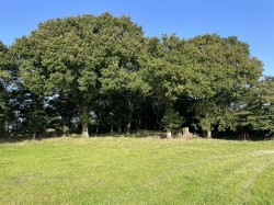 Images for Nomansland, Tiverton