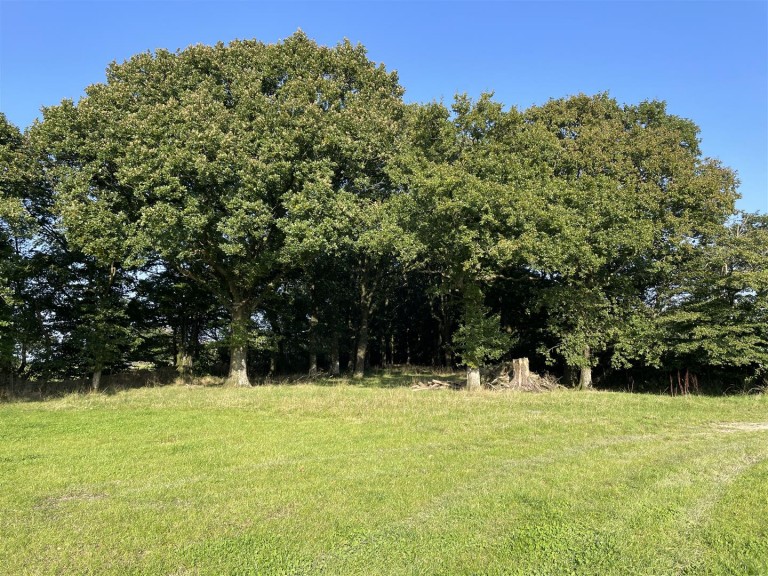 Images for Nomansland, Tiverton