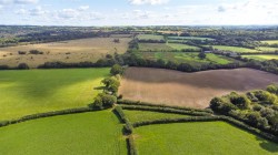 Images for Nomansland, Tiverton