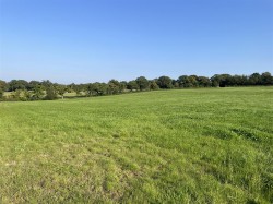 Images for Nomansland, Tiverton