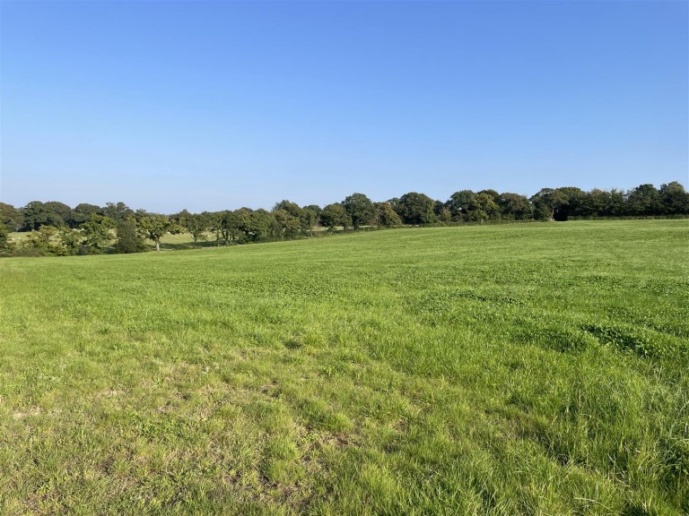Images for Nomansland, Tiverton