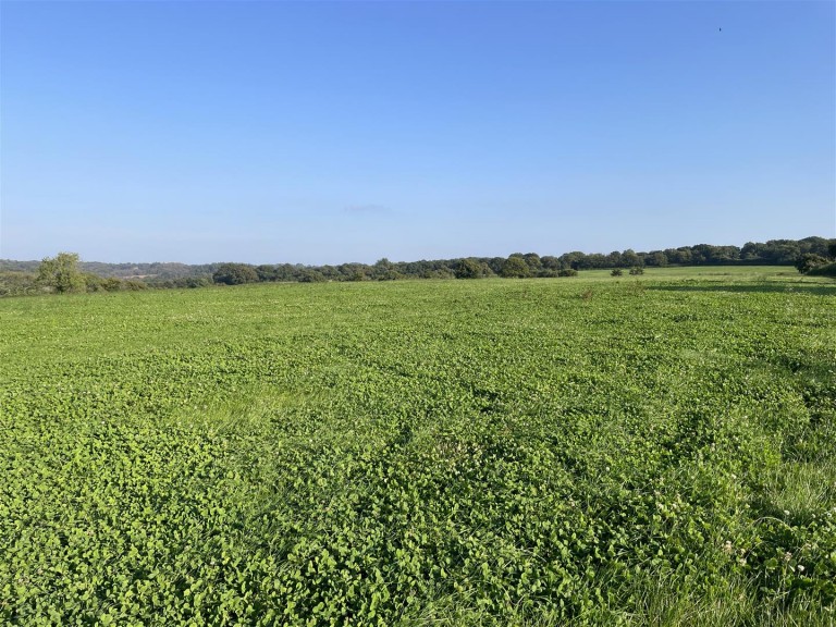 Images for Nomansland, Tiverton
