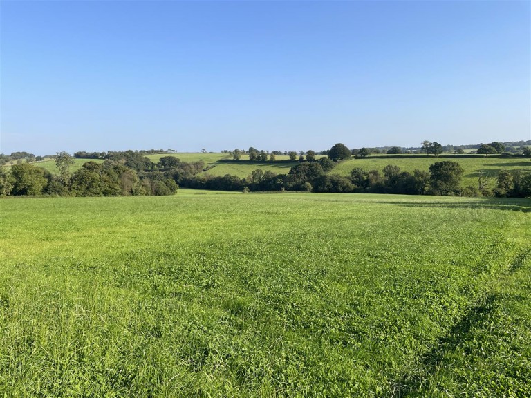 Images for Nomansland, Tiverton