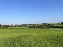 Images for Nomansland, Tiverton