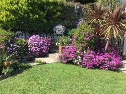 Images for Ventnor, Isle of Wight
