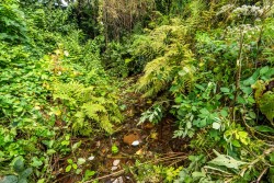 Images for Latchley, Tamar Valley