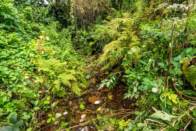 Images for Latchley, Tamar Valley