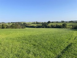 Images for Nomansland, Tiverton