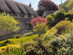 Images for Walditch, Bridport