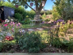 Images for Broadhempston