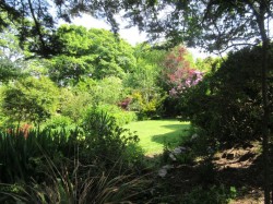 Images for Mount Hawke
