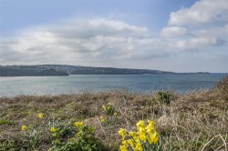 Images for Riviere Towans, Phillack, Hayle