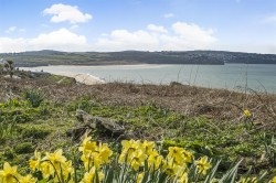 Images for Riviere Towans, Phillack, Hayle