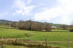 Images for Dalwood, Axminster
