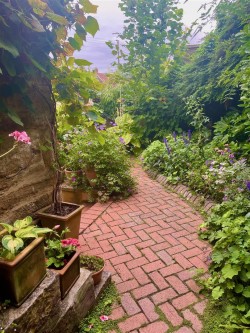 Images for Hollyhocks, 19 Hurst, Martock.