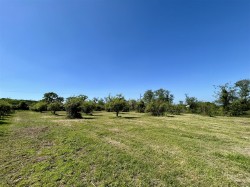 Images for Sanctuary Lane, Woodbury, Exeter