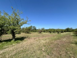 Images for Sanctuary Lane, Woodbury, Exeter