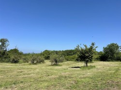 Images for Sanctuary Lane, Woodbury, Exeter