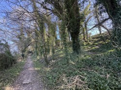 Images for Ebbesbourne Wake, Salisbury