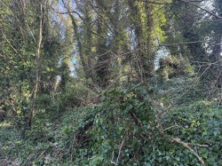 Images for Ebbesbourne Wake, Salisbury