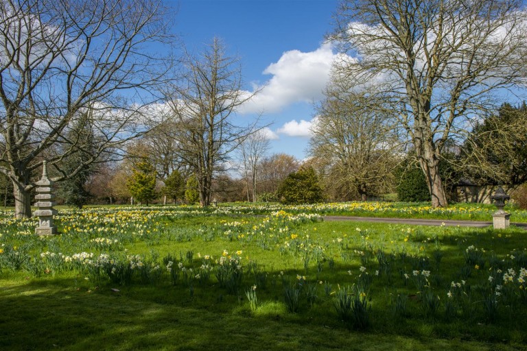 Images for Chiselborough