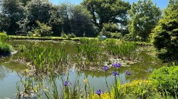 Images for Sheepwash, Beaworthy