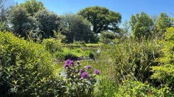 Images for Sheepwash, Beaworthy
