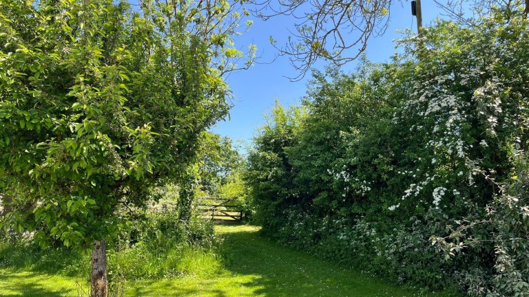 Images for Sheepwash, Beaworthy