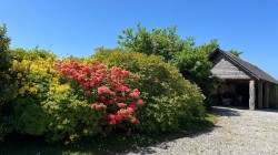 Images for Sheepwash, Beaworthy
